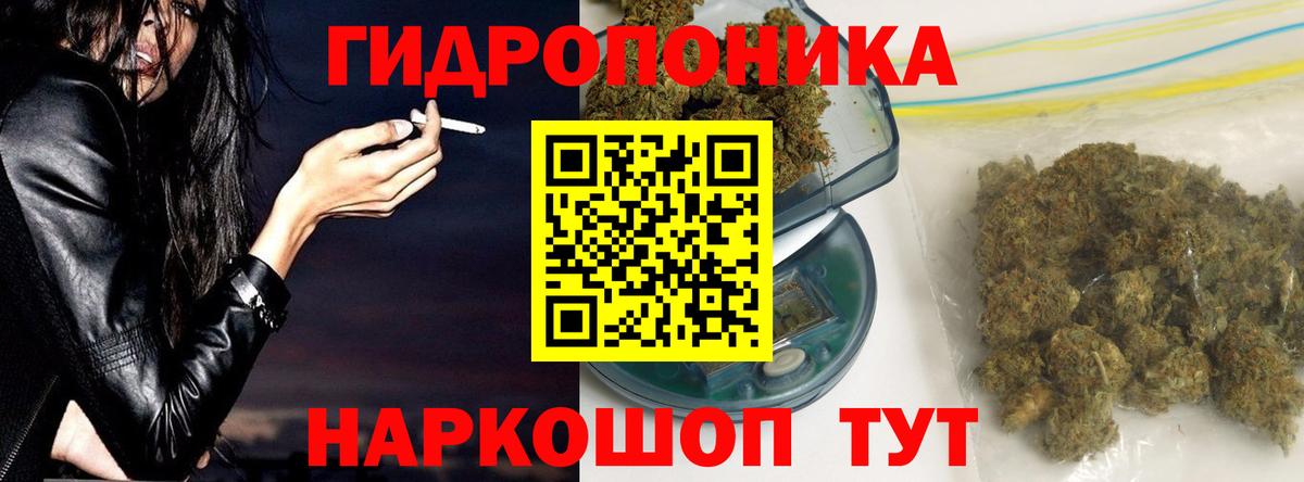 Канабис тримм  Шишки марихуана конопля  Вход с VPN  Биробиджан  Шишки марихуана White Widow  Марихуана OG Kush 